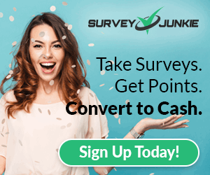 Take surveys. Get PAID.